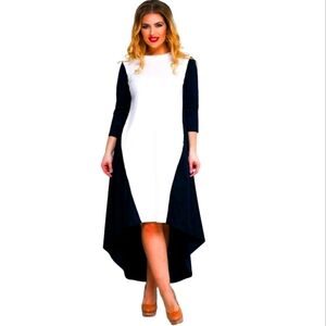 BN WOMENS A-LINE Dress Size 16